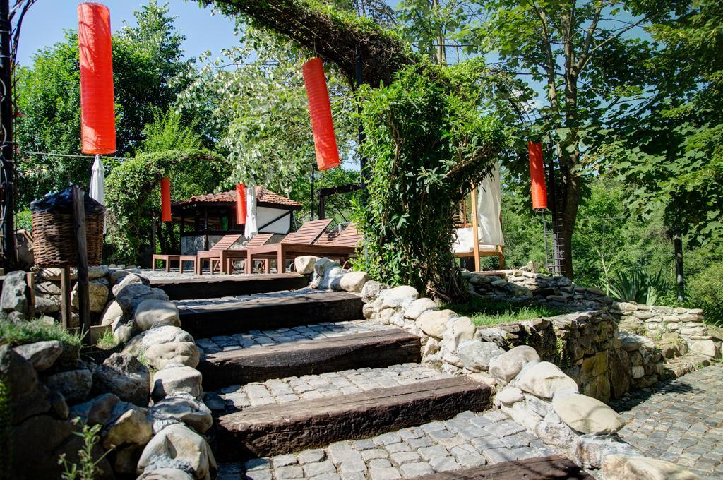 Pensiune-Restaurant Tara Luanei 萨拉他蒙蒂鲁 外观 照片